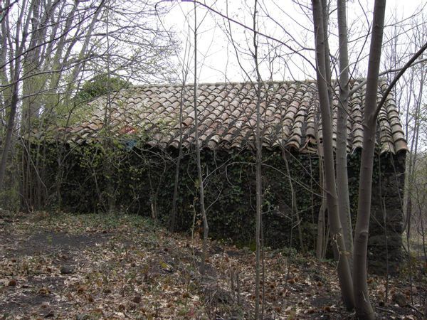 Rustico Milo, CT Vendita - Foto 4