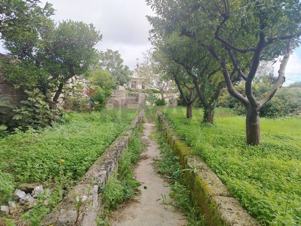 Casa Indipendente Spongano, LE Vendita