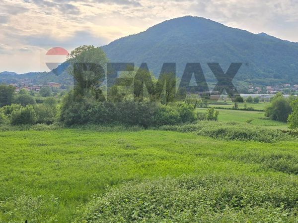 Terreno Brivio, LC Vendita