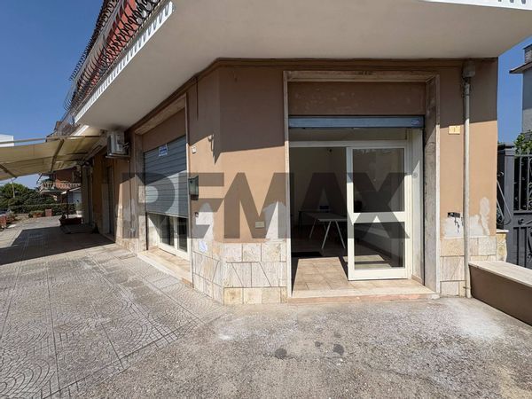 Negozio Santa Maria delle Mole, Marino, RM Affitto - Foto 2