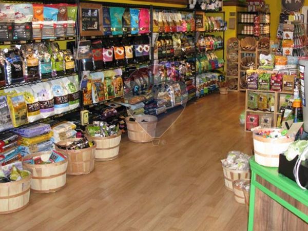 Negozio Mestrino, PD Affitto - Foto 4