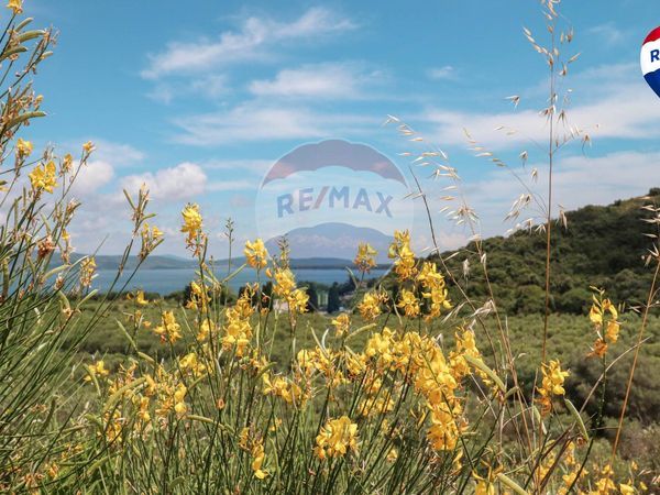 Villa o villino Monte Argentario, GR Vendita - Foto 3
