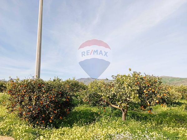 Terreno Regalbuto, EN Vendita - Foto 4