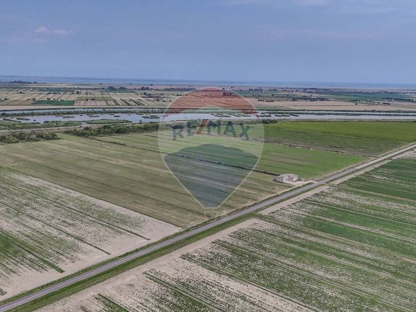 Terreno Goro, FE Vendita - Foto 2