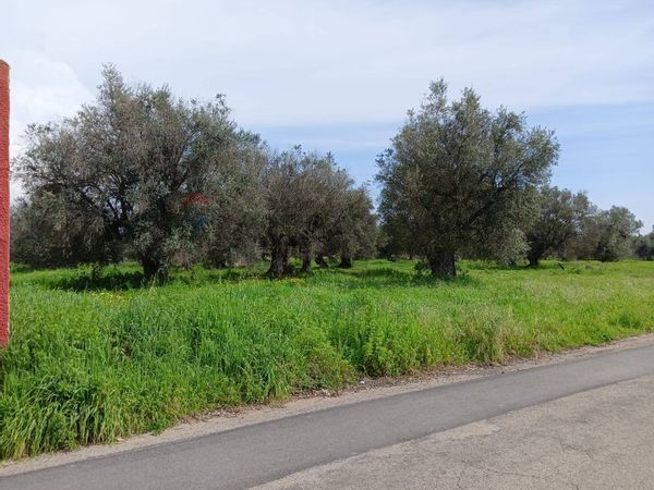 Terreno Edificabile Monteparano, TA Vendita - Foto 3