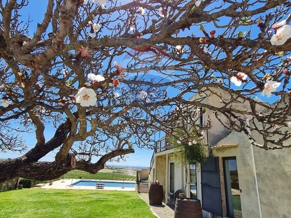 Locale Commerciale Noto, SR Affitto - Foto 3