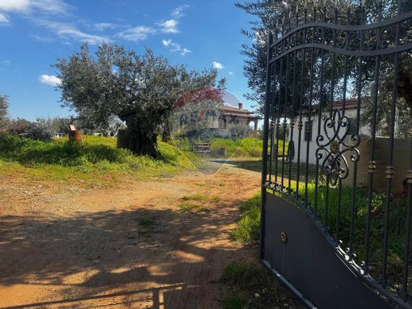 Casa Indipendente San Lorenzo del Vallo, CS Vendita - Foto 3