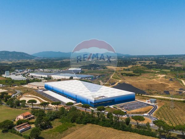 Capannone Industriale San Giuliano Milanese, MI Affitto - Foto 4