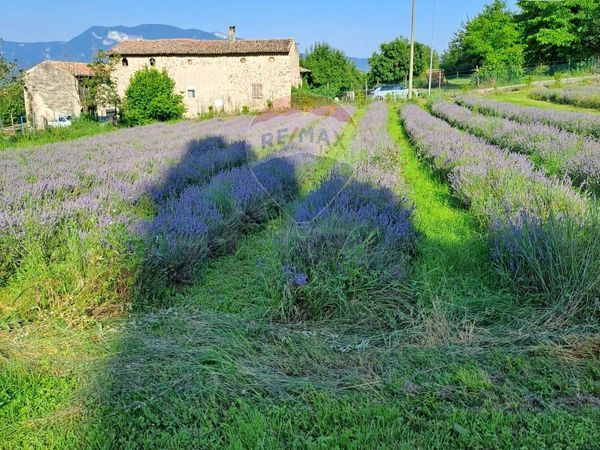 Terreno Costermano sul Garda, VR Vendita