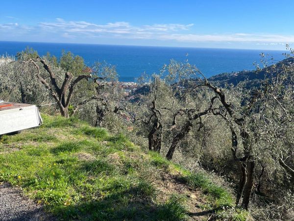 Terreno Edificabile Alassio, SV Vendita - Foto 2