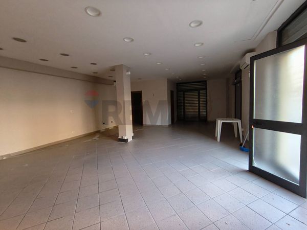 Locale Commerciale Ladispoli, RM Affitto - Foto 3