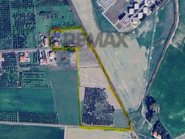 Villa o villino Sibari, Cassano all'Ionio, CS Vendita - Foto 2