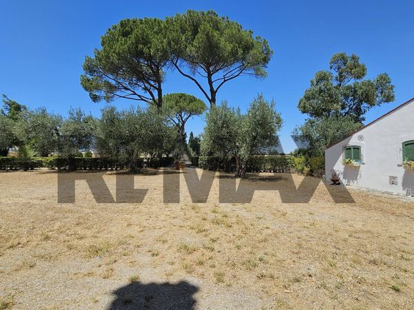 Villa singola Lucera, FG Vendita - Foto 2