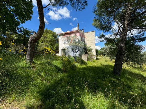 Cascina/Casale Castelbuono, Bevagna, PG Vendita - Foto 2