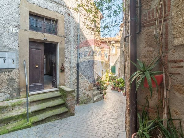 Casa Semindipendente Farnese, VT Vendita - Foto 4