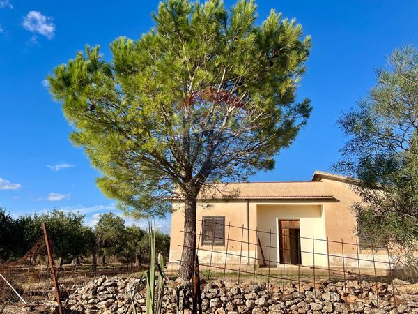 Cascina/Casale Menfi, AG Vendita - Foto 2