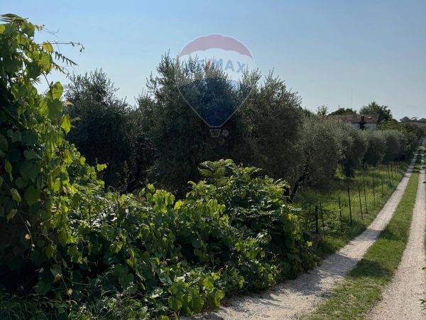 Terreno Industriale Manerba del Garda, BS Vendita - Foto 2