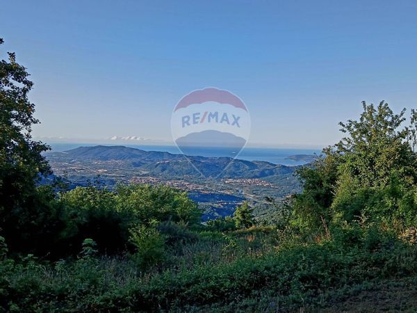 Casa Indipendente Bruscarolo, Calice al Cornoviglio, SP Vendita