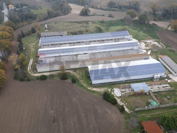 Capannone Industriale Arcevia, AN Vendita - Foto 4