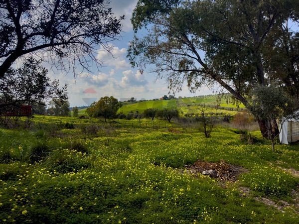 Rustico Motta Sant'Anastasia, CT Vendita - Foto 2