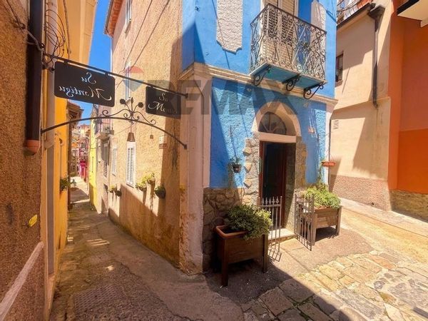 Casa Indipendente Tonara, NU Vendita - Foto 2