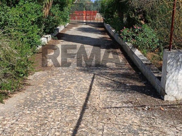 Cascina/Casale Specchiolla, Carovigno, BR Vendita - Foto 3