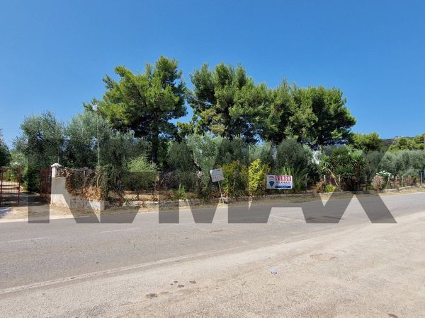 Villa o villino Vieste, FG Vendita - Foto 2