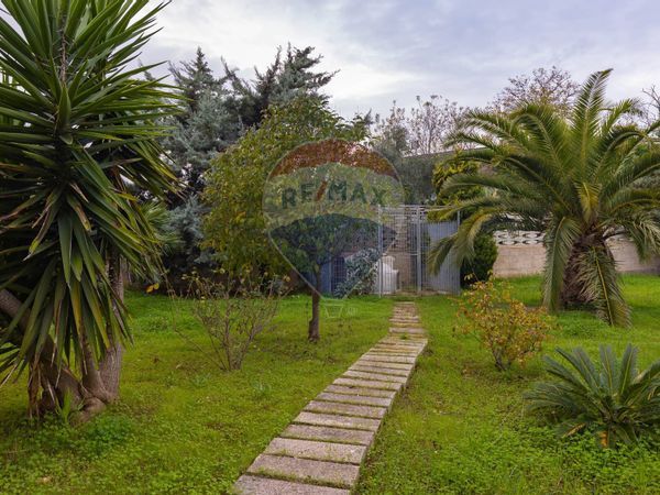 Cascina/Casale Mola di Bari, BA Vendita - Foto 3