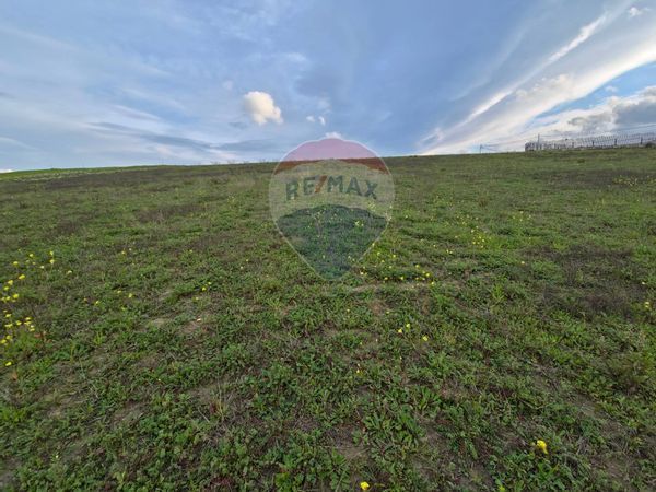 Terreno San Marco Argentano, CS Vendita - Foto 2