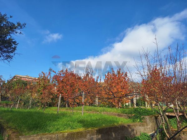 Porzione di villa Piedimonte Etneo, CT Vendita - Foto 4