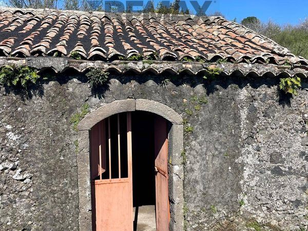 Rustico Sant'Alfio, CT Vendita - Foto 2