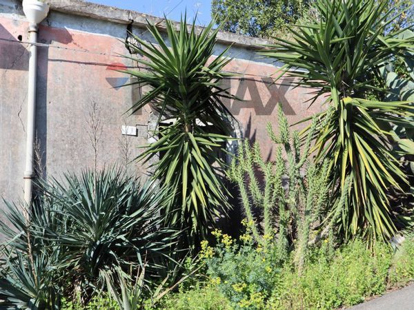 Casa Indipendente Fiumefreddo di Sicilia, CT Vendita - Foto 2