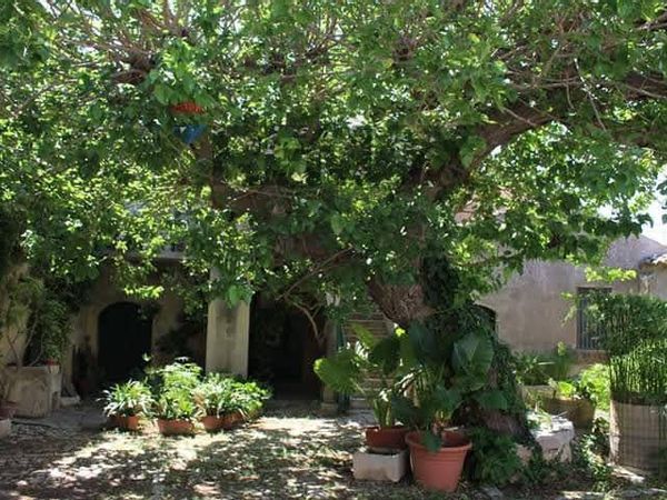Casa Indipendente Chiaramonte Gulfi, RG Vendita - Foto 2