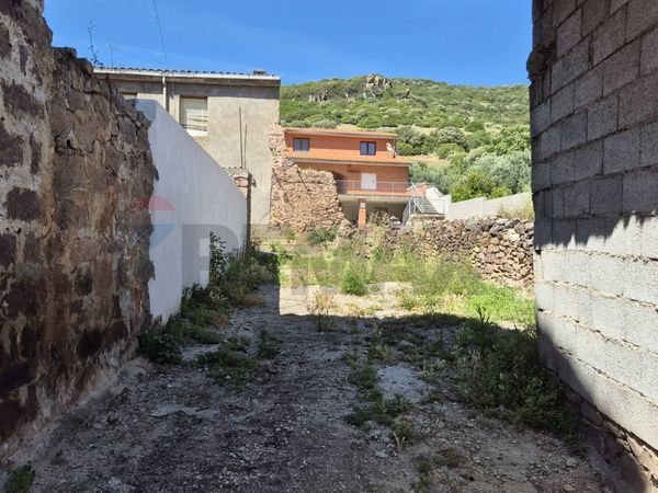 Cascina/Casale Allai, OR Vendita - Foto 2
