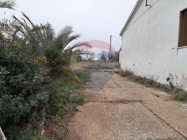 Casa Indipendente Bernalda, MT Vendita - Foto 4