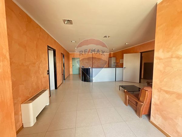 Capannone Industriale Martignana di Po, CR Vendita - Foto 2