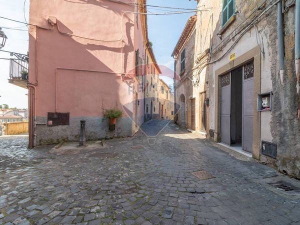 Altro Farnese, VT Vendita - Foto 2