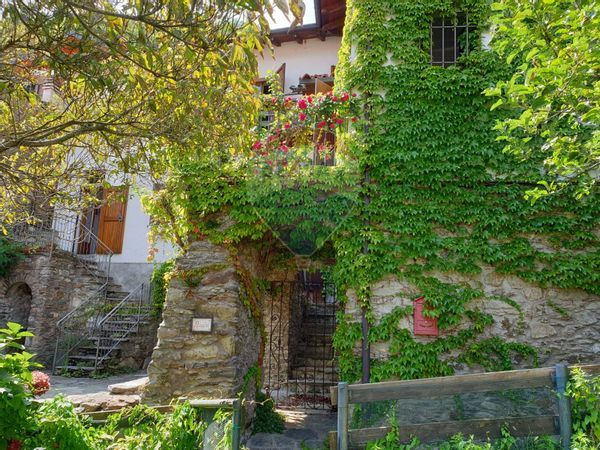 Casa Indipendente Santa Maria Rezzonico, San Siro, CO Vendita - Foto 4