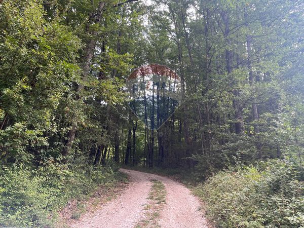 Villa singola Civitella Alfedena, AQ Vendita - Foto 4