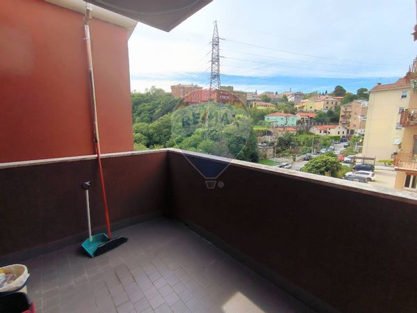 Appartamento Roiano, Trieste, TS Affitto - Foto 3