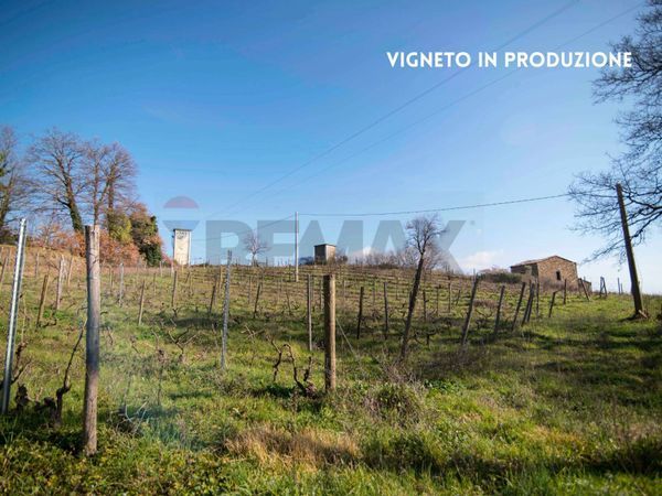 Rustico Roccatederighi, Roccastrada, GR Vendita - Foto 3