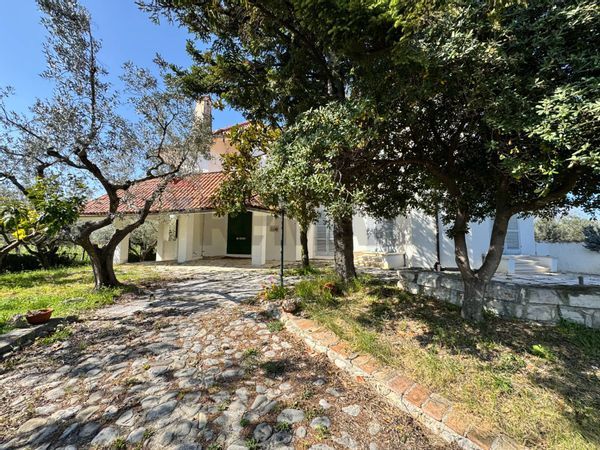 Villa singola Casalbordino, CH Vendita - Foto 3