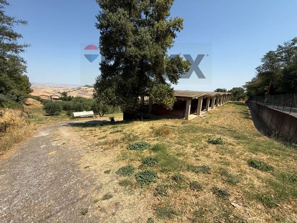 Rustico Grassano, MT Vendita - Foto 3