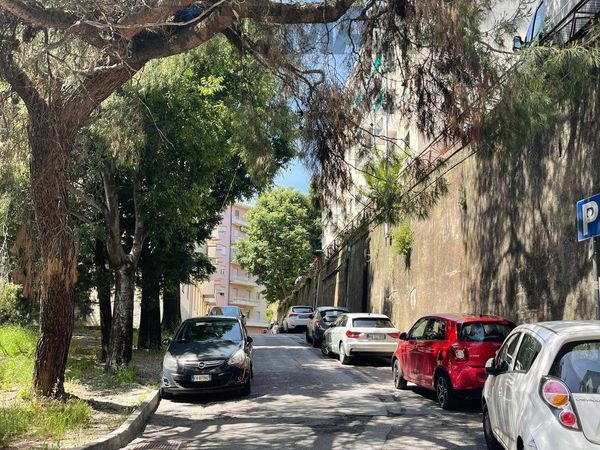Appartamento Sestri Ponente, Genova, GE Affitto - Foto 3