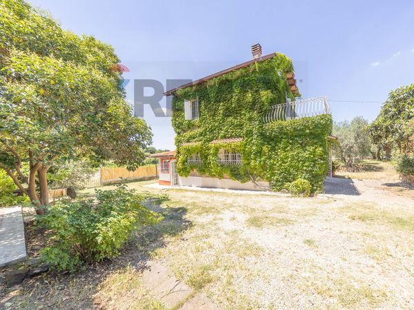 Villa singola Monte Porzio Catone, RM Vendita - Foto 4