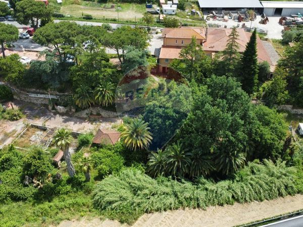 Attività  Commerciale Campagnano di Roma, RM Vendita - Foto 2