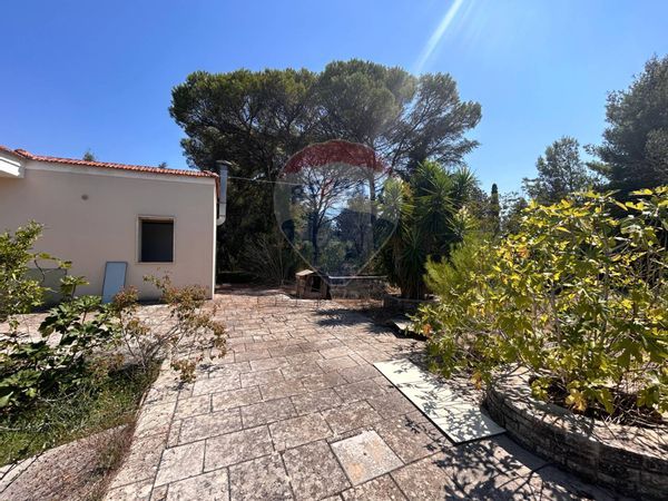 Villa singola Novoli, LE Vendita - Foto 4