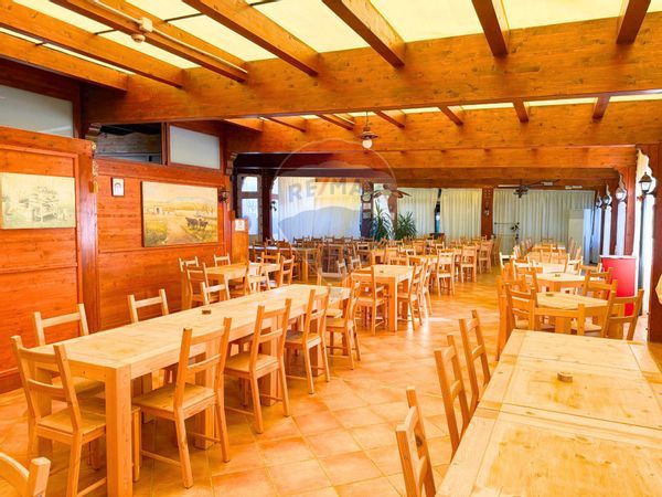 Attività  Commerciale Siponto, Manfredonia, FG Vendita - Foto 3