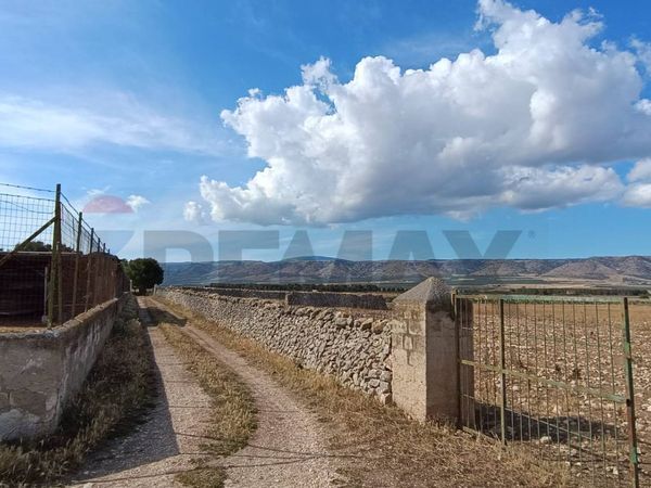 Terreno San Giovanni Rotondo, FG Vendita