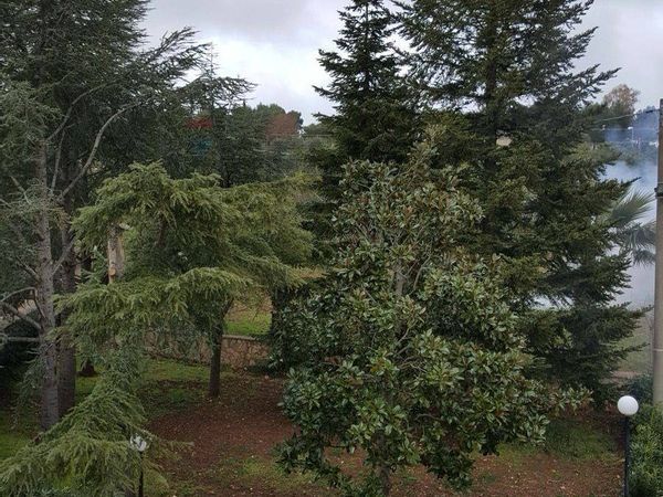 Baita/Chalet/Trullo Fasano, BR Vendita - Foto 4